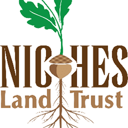 Niches Niches